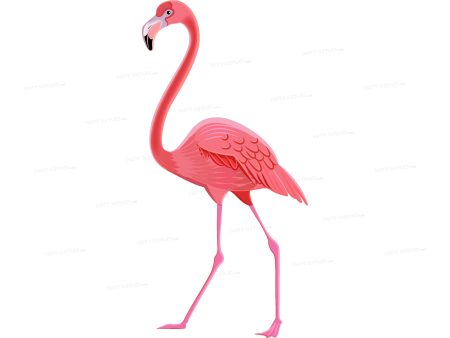 Flamingo Theme Cutout FLM-06 Online Sale