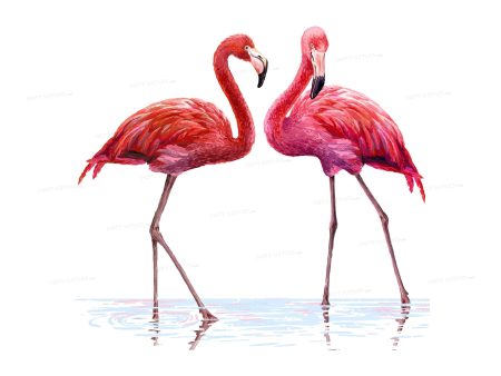 Flamingo Theme Cutout FLM-10 Discount